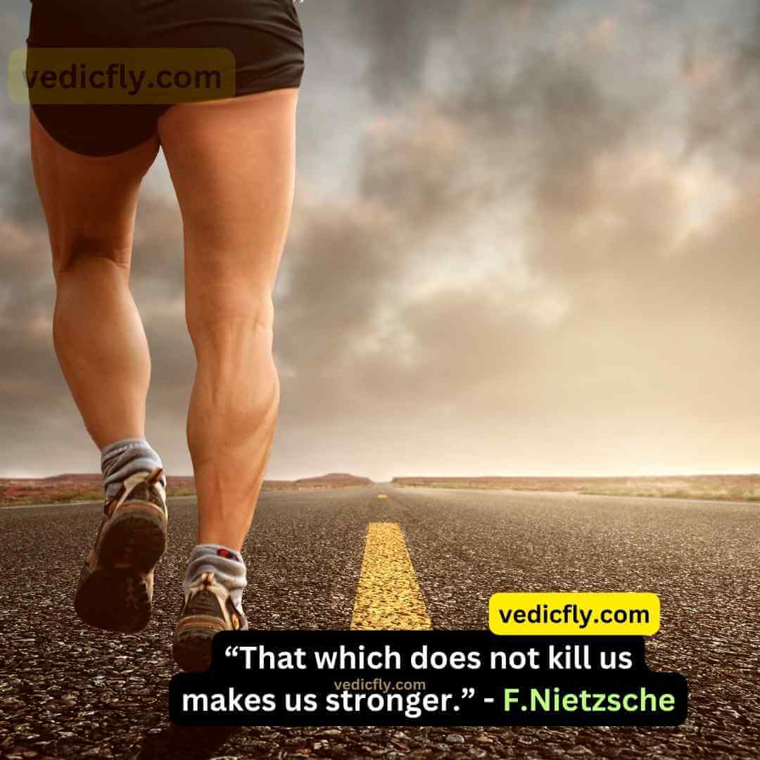 “That which does not kill us makes us stronger.” - Friedrich Nietzsche