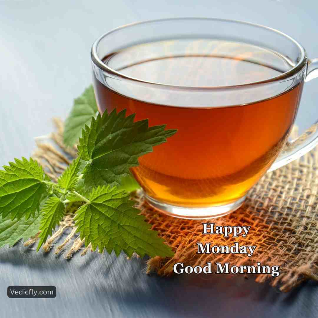 Good morning tea Best morning tea ideas good morning blessings images 