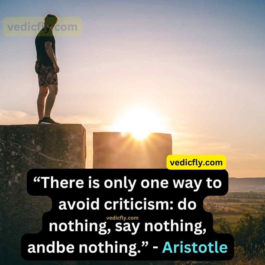 “There is only one way to avoid criticism: do nothing, say nothing, and be nothing.” ~ Aristotle