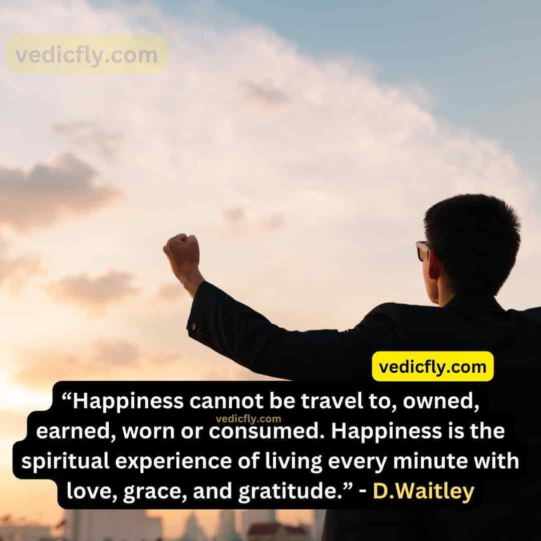 “Happiness cannot be travel to, owned, earned, worn or consumed. Happiness is the spiritual experience of living every minute with love, grace, and gratitude.” - Denis Waitley