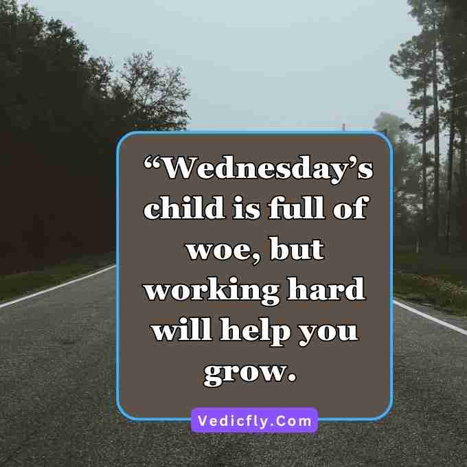 this type of image forest motivational road banner ,These images are included keywords- Wednesday Inspirational Quotes For Work, Beautiful Wednesday Quotes, Wednesday Morning Inspirational Quotes With Images, Daily Inspirational Quotes For Wednesday.