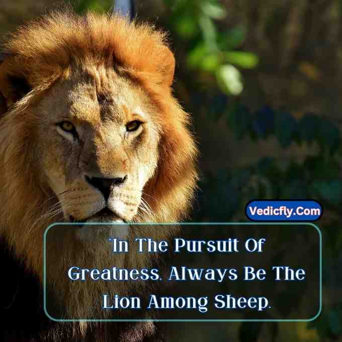 these images are lion looking front side hunting movement   and included the keyword -Motivational Quotes With Lion