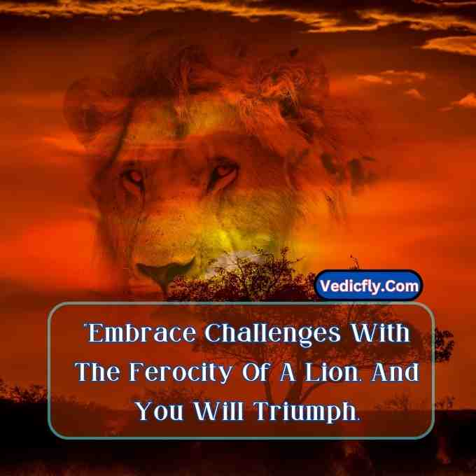 these images are lion reddish colour at sky place  looking front side  and included keyword -Motivational Quotes With Lion