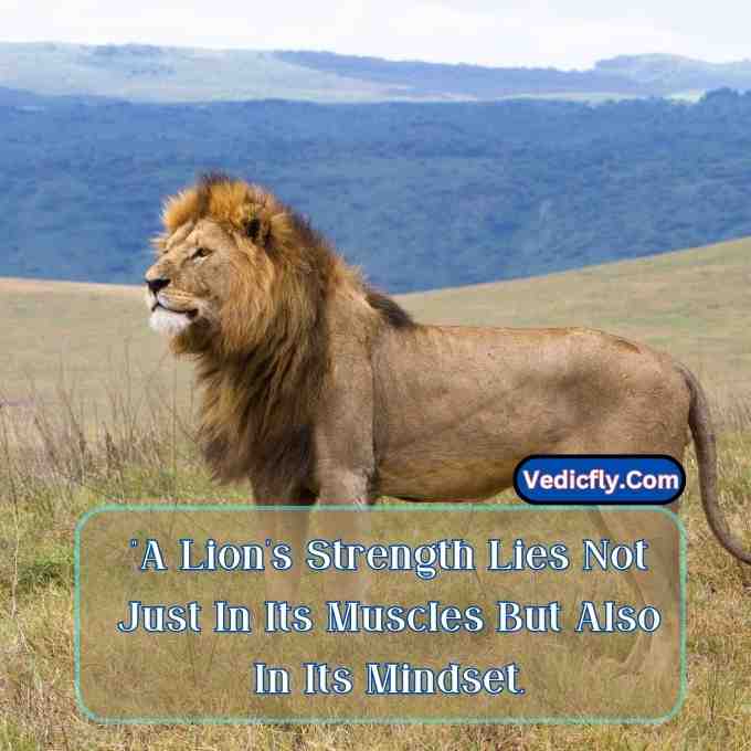 these images are lion looking left side  forest are waiting movement and included keyword -Motivational Quotes With Lion