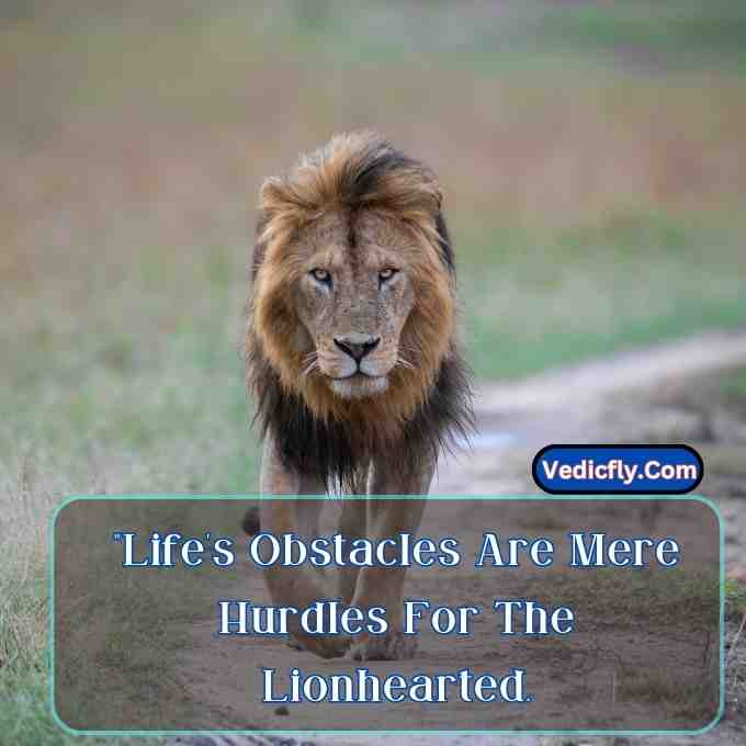 these images are lion-looking front side  waking street road  and included keyword -Motivational Quotes With Lion