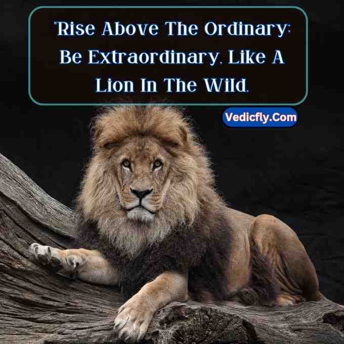 these images are lion looking front side ,tree seat position  and included the keyword -Motivational Quotes With Lion