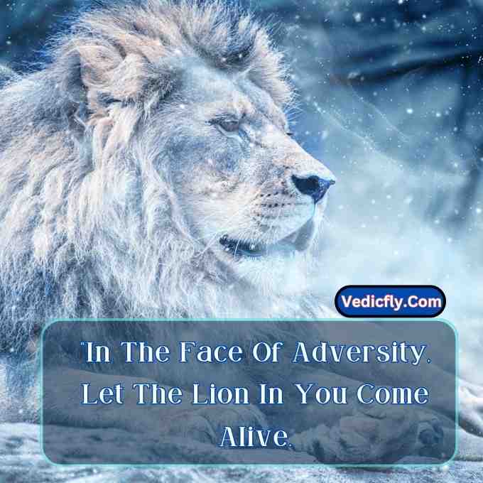 these images are lion looking right side  , snow type images and included the keyword -Motivational Quotes With Lion