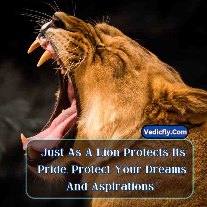 these images are lion looking left  side, open mouth  show big teeth and included the keyword -Motivational Quotes With Lion