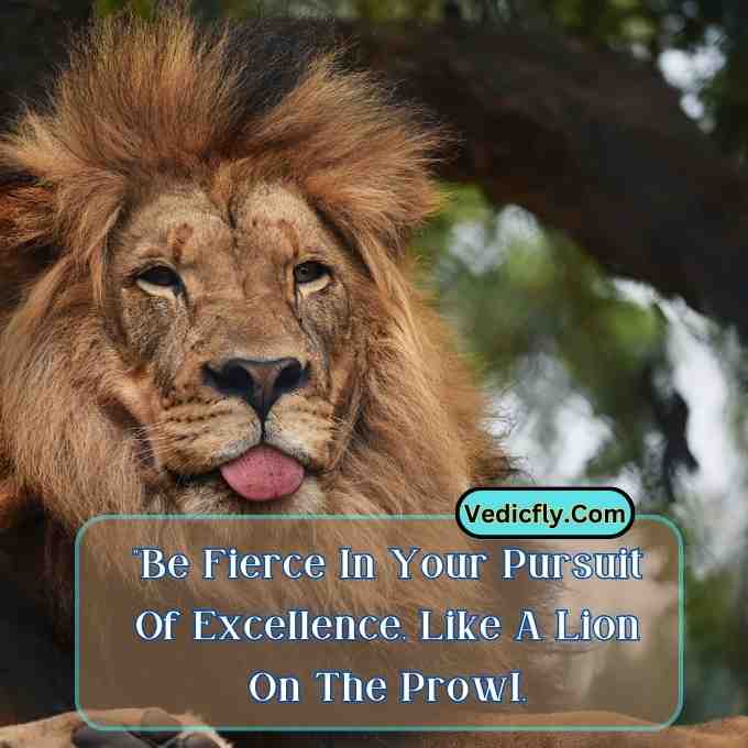 these images are lion looking front side , show tug  and included the keyword -Motivational Quotes With Lion