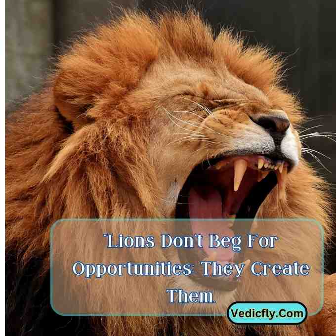 these images are lion looking front side , open mouth and included the keyword -Motivational Quotes With Lion