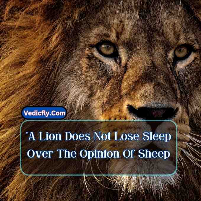 these images are lion  front looking eyes and included keyword -Motivational Quotes With Lion