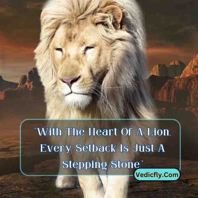 these images are  white lion looking front side  and included the keyword -Motivational Quotes With Lion