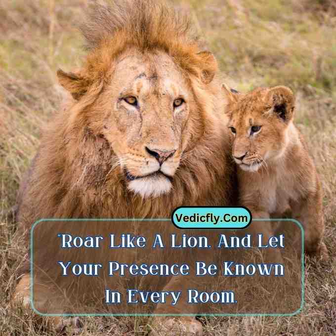 these images are lion  looking front side  , little lion and included the keyword -Motivational Quotes With Lion