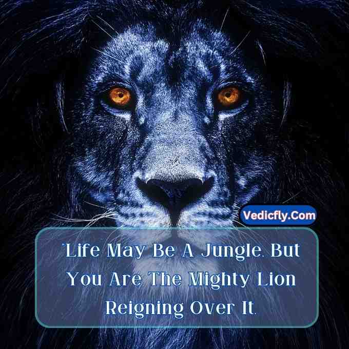 these images are  blue  lion looking front side  and included keyword -Motivational Quotes With Lion