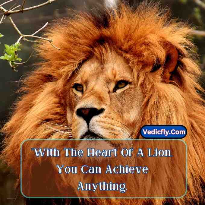 these images are lion looking front side  hunting movement and included keyword -Motivational Quotes With Lion