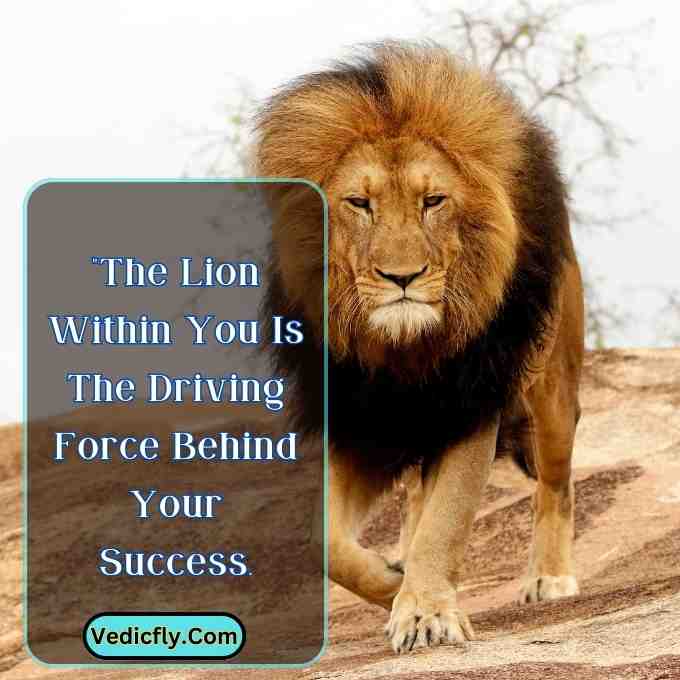 these images are lion looking front side  and included the keyword -Motivational Quotes With Lion