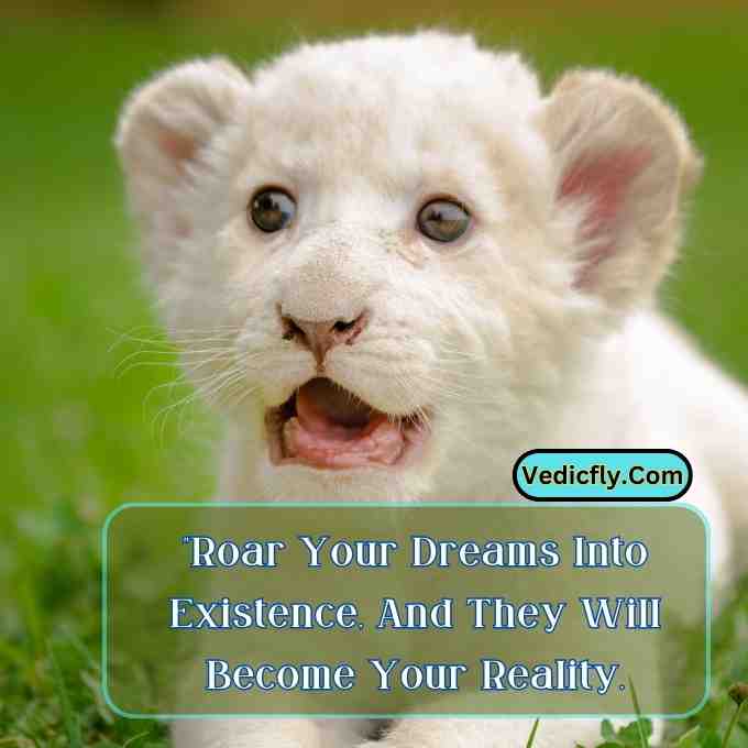 these images are white beautiful lion looking front side  and included the keyword -Motivational Quotes With Lion